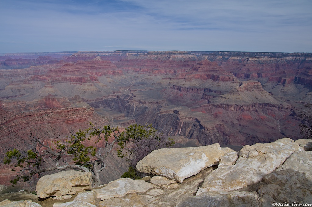 Grand Canyon Day Tour from Flagstaff Daily Grand Canyon Tour